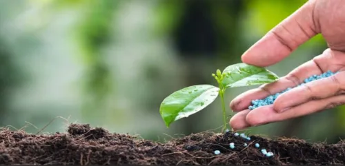 Non Food Applications